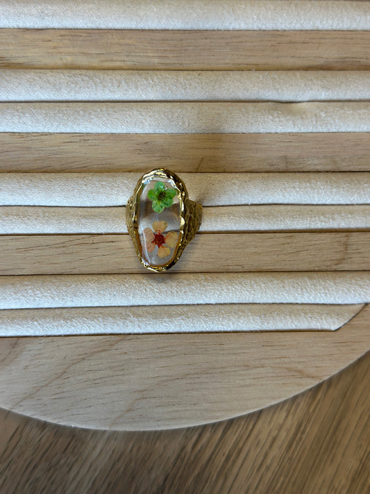Anillo